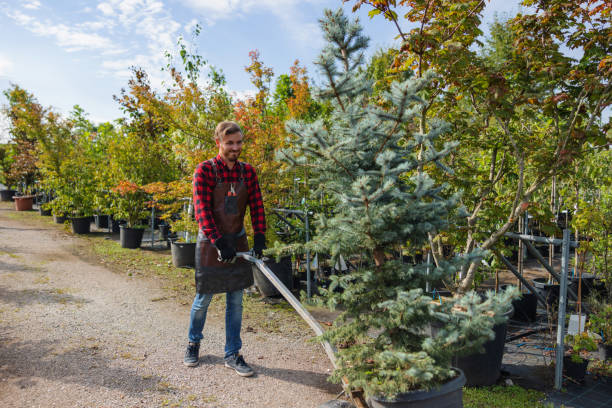 Best Leaf Removal  in Big Rock, IL